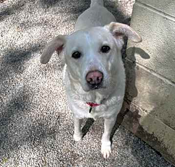 Photo of Athena