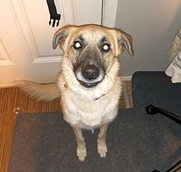 Photo of Coco