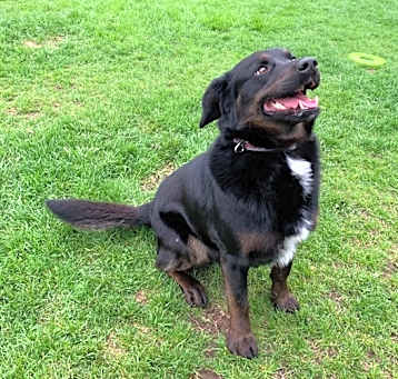 Photo of Jack