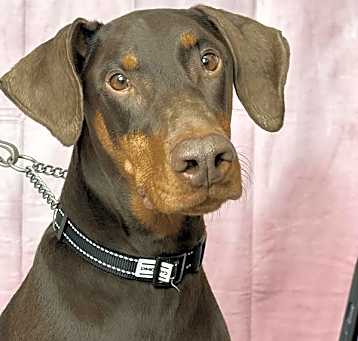 Photo of Zeus