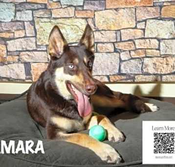 Photo of Amara