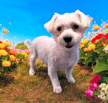 Photo of Lulu Sue