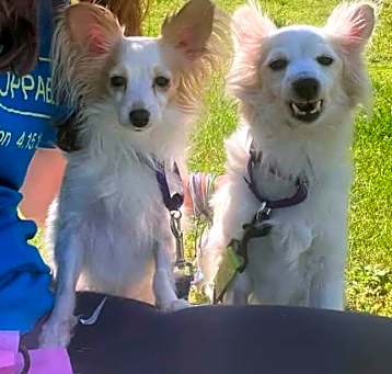 Photo of Nutter Butter & Rolo