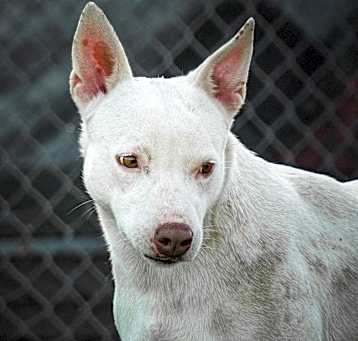 Photo of ➡️Nilla👀 is URGENT