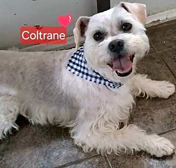 Photo of Coltrane