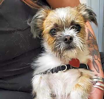 Photo of Polo