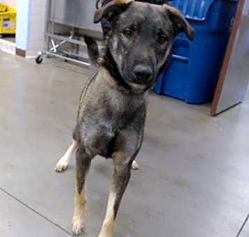 Photo of TUCKER