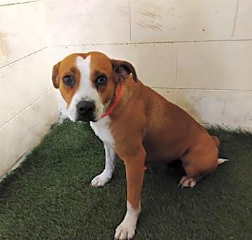 Photo of A1231106