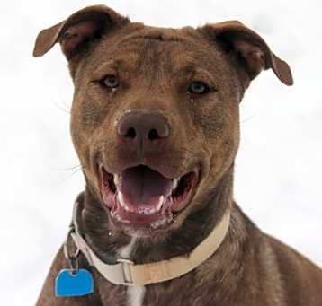 Photo of Roxy