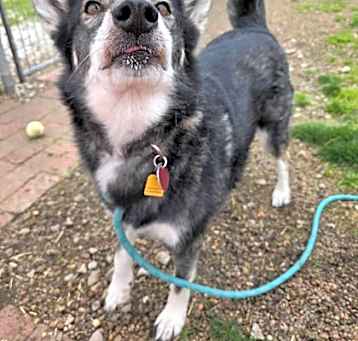 Photo of Stormy