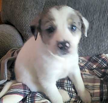 Photo of Asher