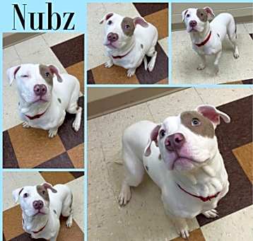 Photo of Nubz