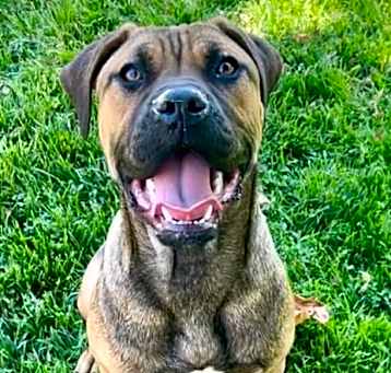 Photo of SNOOKIE