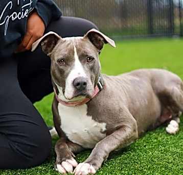 Photo of Cali