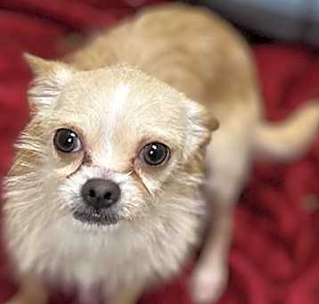 Photo of A465762