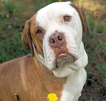 Photo of Lola 55924