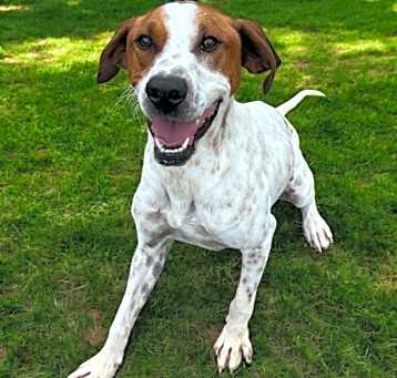Photo of Chance