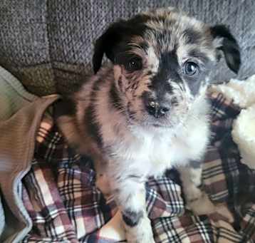 Photo of Lexi