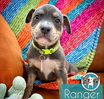 Photo of Ranger Ford