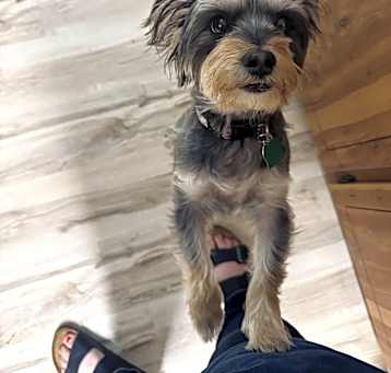 Photo of Coco