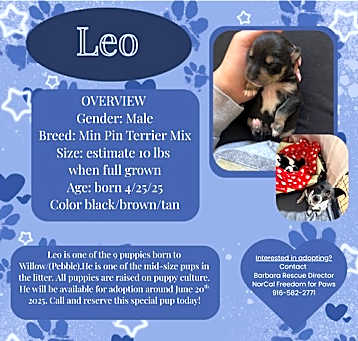 Photo of Leo