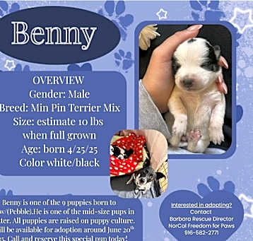 Photo of Benny