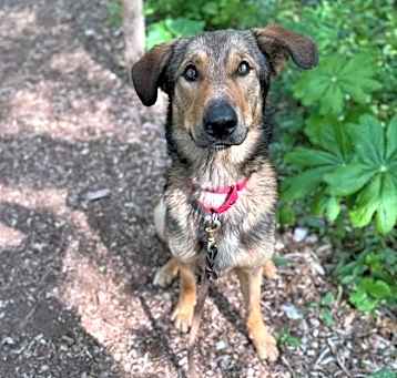 Photo of Rufio