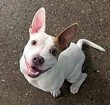 Photo of Hazel~meet me!