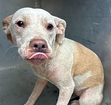 Photo of Daisey