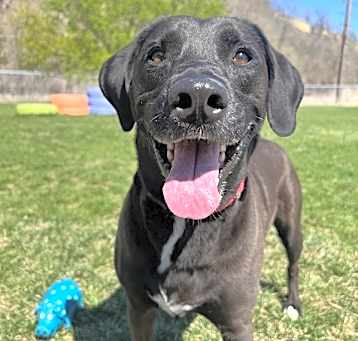 Photo of Tex
