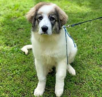 Photo of LUNA