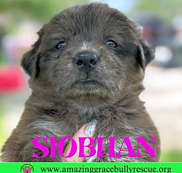Photo of Siobhan