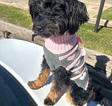 Photo of Mocha Jay