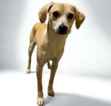 Photo of Zip