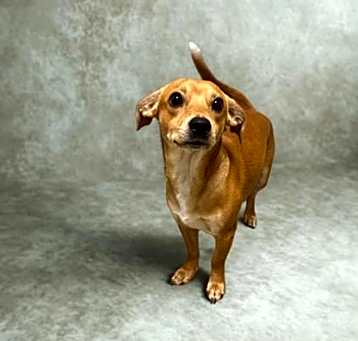 Photo of Jet