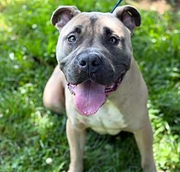 Photo of Tank
