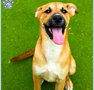 Photo of LUCY