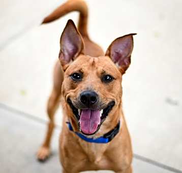 Photo of Ajax