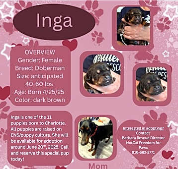 Photo of Inga