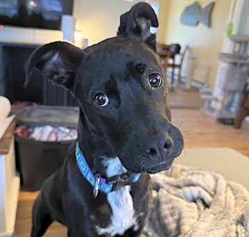 Photo of Diamond