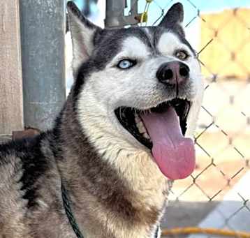 Photo of Ryoto