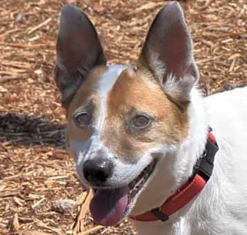 Photo of Kimo