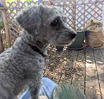 Photo of Jewels
