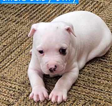 Photo of Uncle Baby Billy