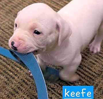 Photo of Keefe