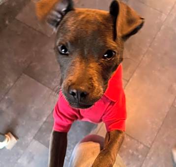 Photo of Elsie Mae