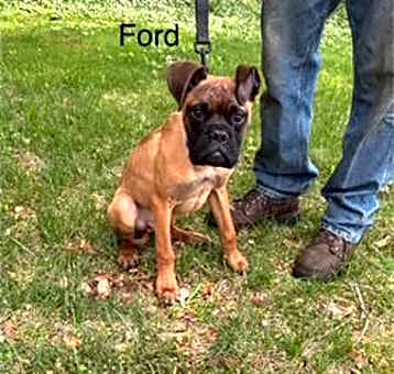 Photo of Ford