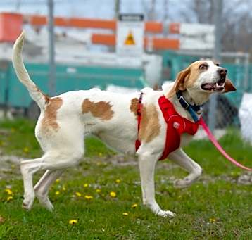 Photo of Wilma