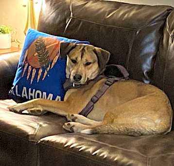 Photo of Jovie