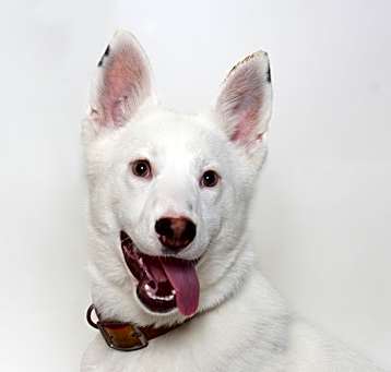 Photo of Junie